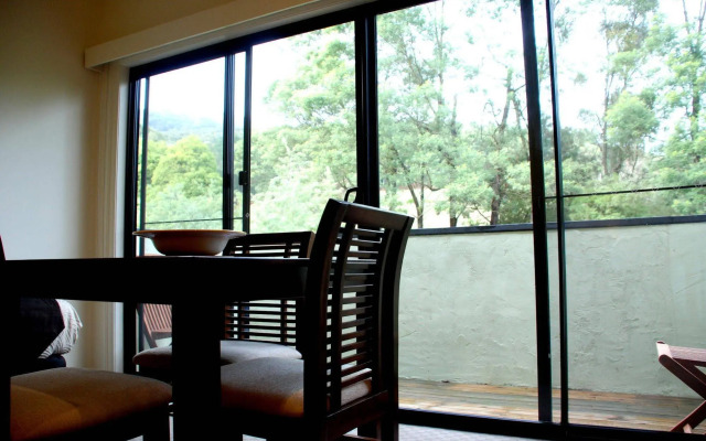 Deville at Healesville