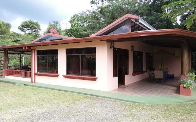 Blue Morpho - Hostel