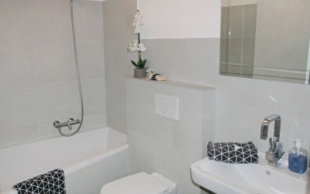 Kegelrobbe Norden in Norden