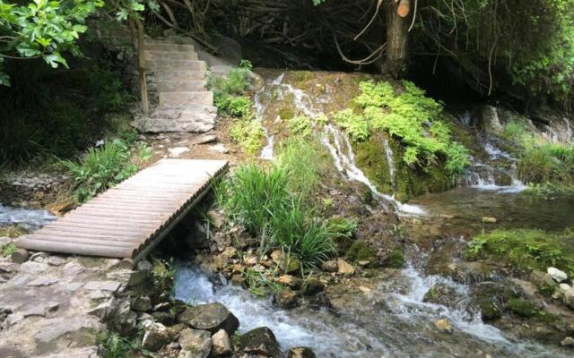 El Almendro de Fuentes Nuevas