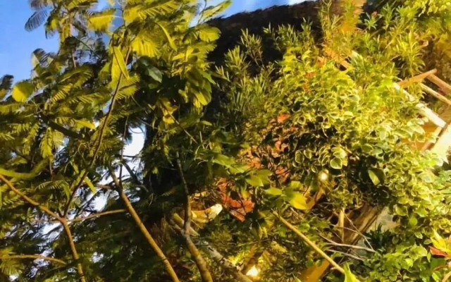 The Dream Garden Bungalow