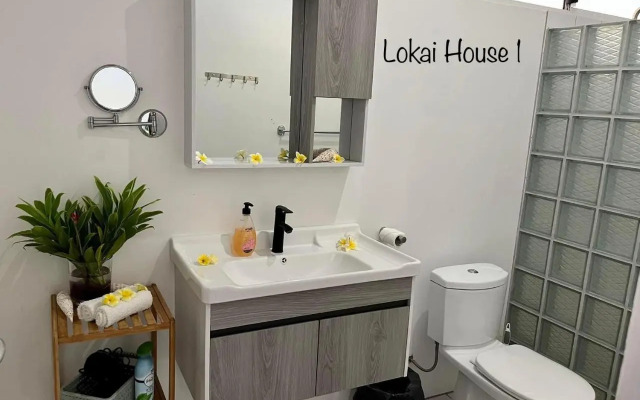 Lokai house