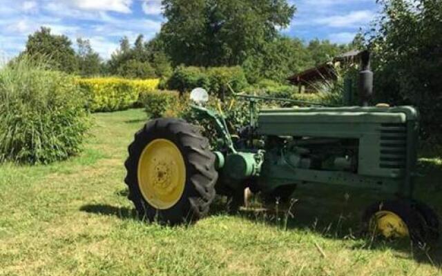 Cabañas Costa Caburgua