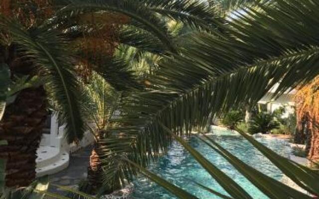 Flamingo Hotel & Spa - Pet Friendly