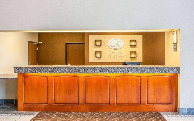 Comfort Suites Auburn near I-69