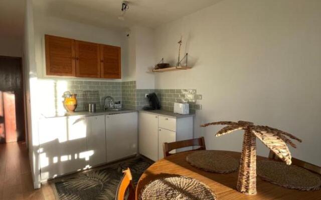 "Les Palmiers" Studio spacieux vue mer Terrasse & Parking