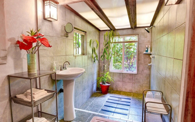 Volcano Artist Cottage - Cottages_and_Houses in فولكانو - Photo 5