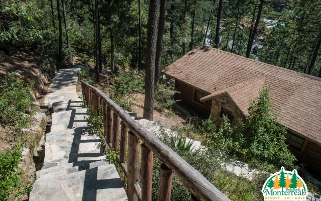 Bosques De Monterreal