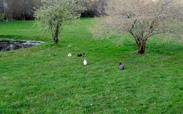 Les chambres d'Ausilia