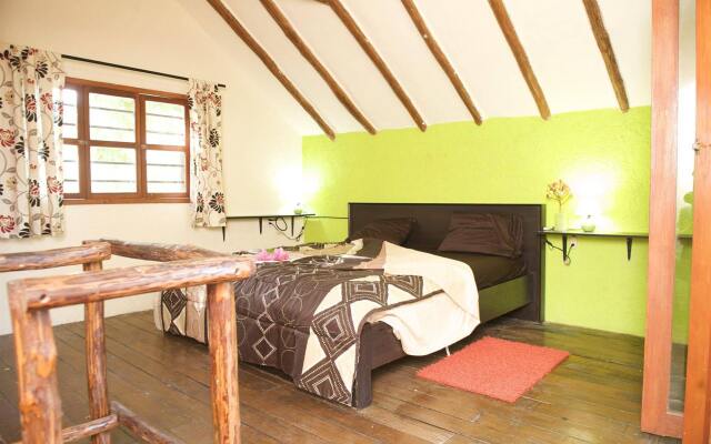 Casa Kiwi