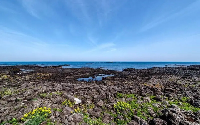 Seogwipo Hello 1204 Pension