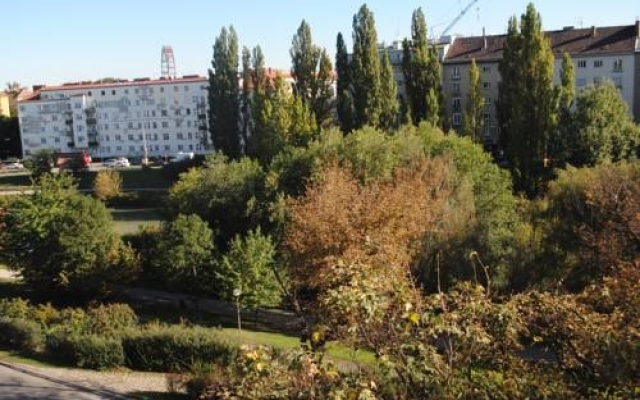 Kunsthaus Apartments