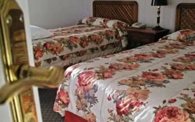 Hostal Terrasur