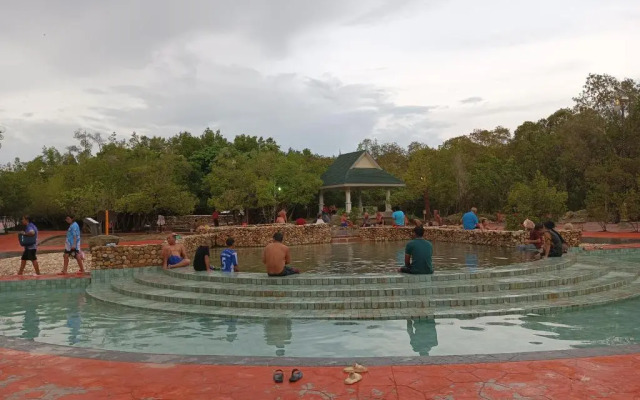 Brown Andaman  Krabi