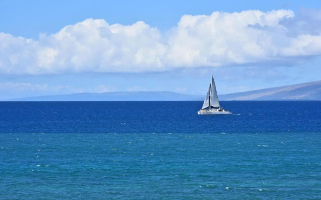 Kaleialoha 210
