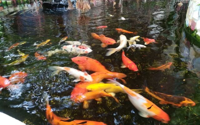 The Wilsons' Shangrila