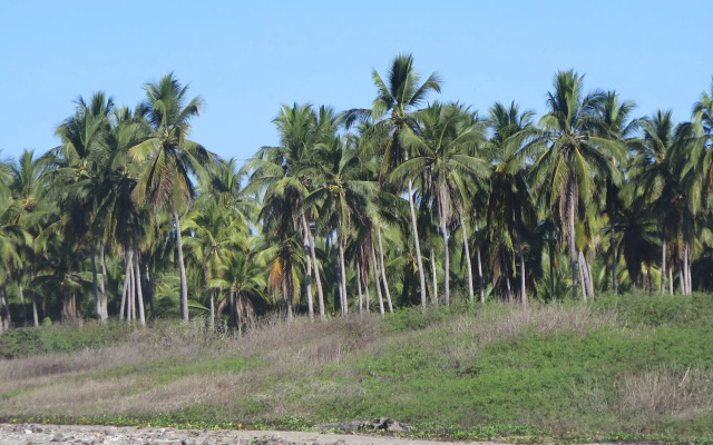 Troncones Point Hostel