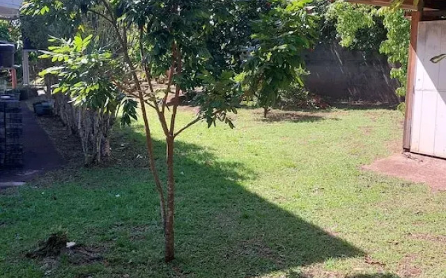 fare pk 2.9 raiateaguest