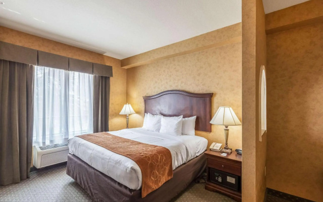 Comfort Suites Alamo - Riverwalk