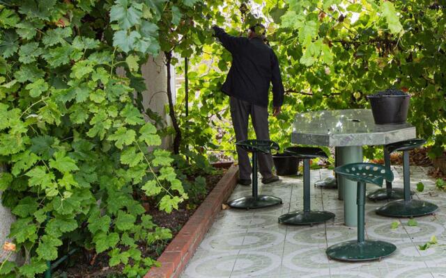 Gîte Chouzy-sur-Cisse, 5 pièces, 8 personnes - FR-1-491-38