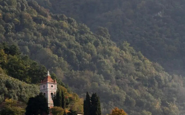 Villa il Gelsomino