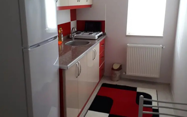 Di̇ri̇li̇ş Banarya Pansi̇yon