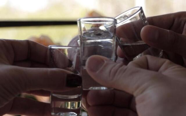 Tisza Gyöngye Apartmanok