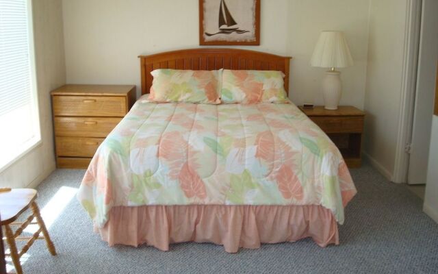 Serene Seashell 508BH