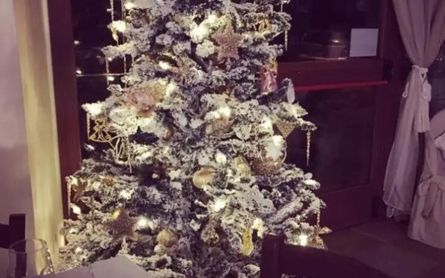 Sui Passi di Francesco