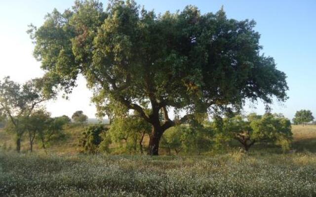 Herdade dos Montes Bastos