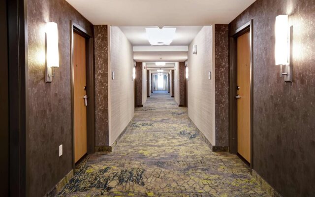 Hilton Garden Inn Jackson