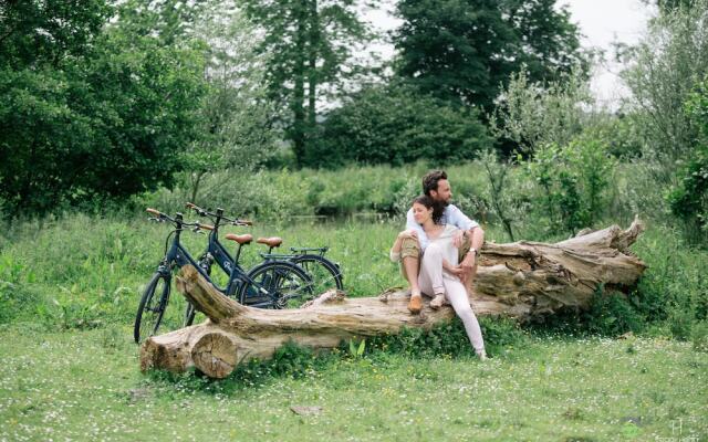 Les Aires en Scènes