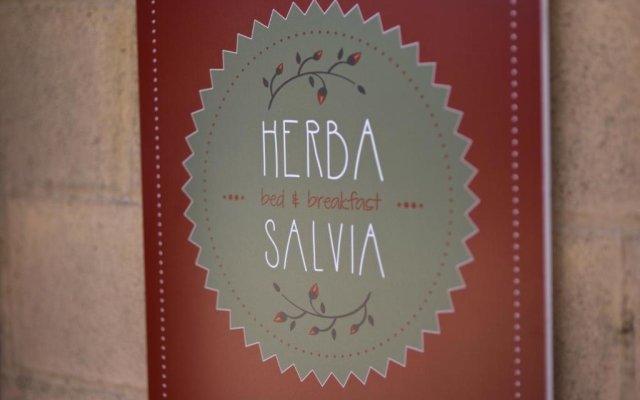Herba Salvia