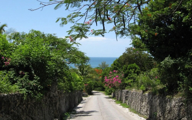 Tamarind