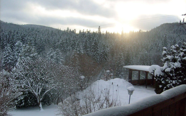 Schwarzwaldhotel-Gasthof Hirsch