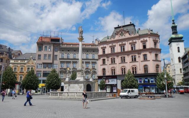 Downtown Apartment Behounska