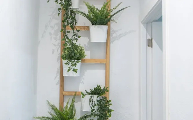 Apartamento Hercules