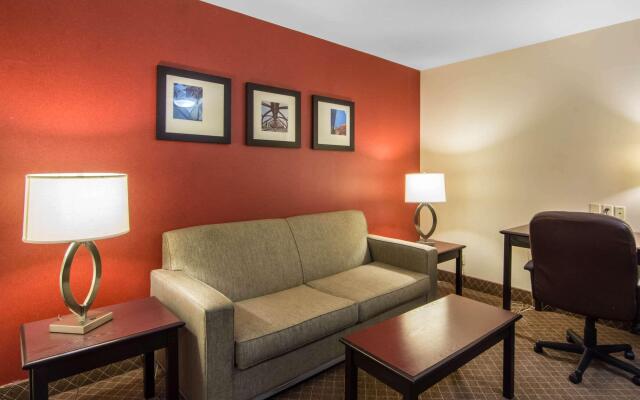 Comfort Inn & Suites Airport South