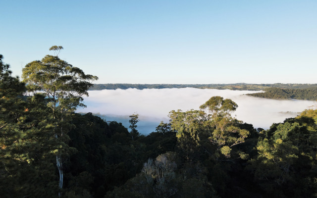 Misty View Cottages Montville