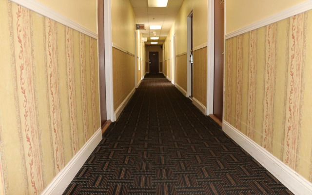 Europa Hotel