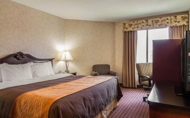 Comfort Inn Silicon Valley East