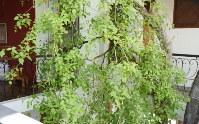 Colombo Tree House