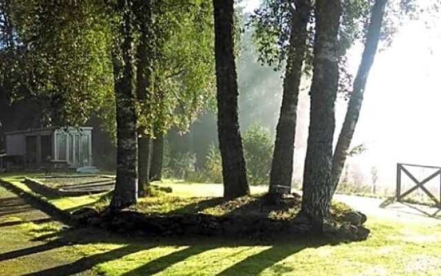 Cosy Rowan woodland lodge no3