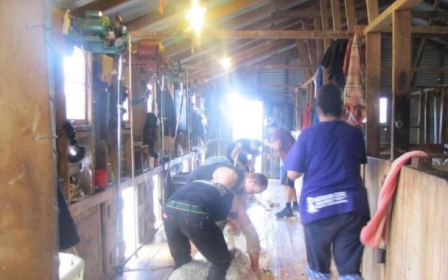 Dunstan Downs High Country Sheep Station