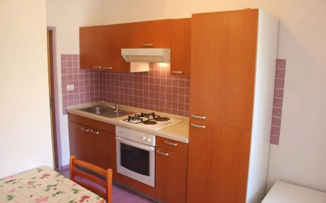 Ante - 50m From the sea - A4 Lila