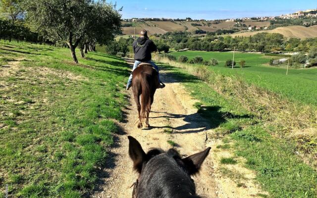 Agriturismo le Capannacce