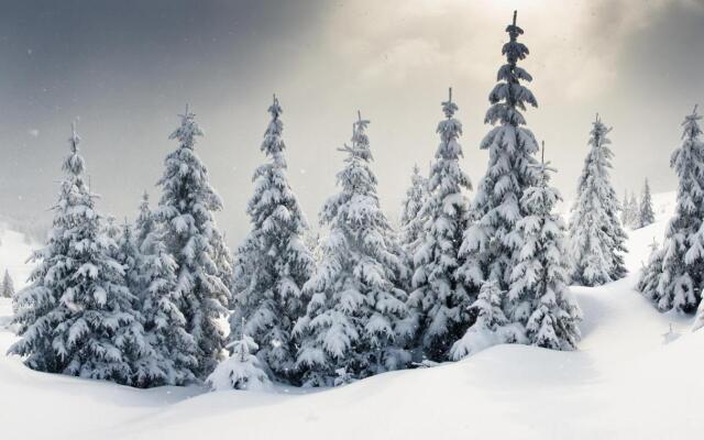 Adonis Hotel Le Chastellan