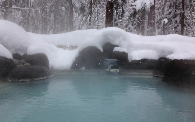 Sakaiya Mori No Hotel Wald Berg