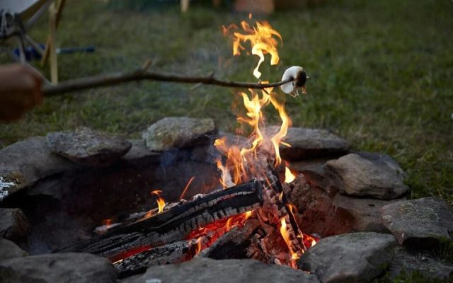 Tentrr - Hummingbird Haven