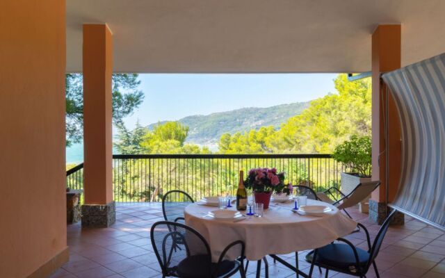 Apartment C1 (AND113)